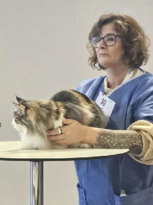 KCH. Violet Sorrengail von Aminius